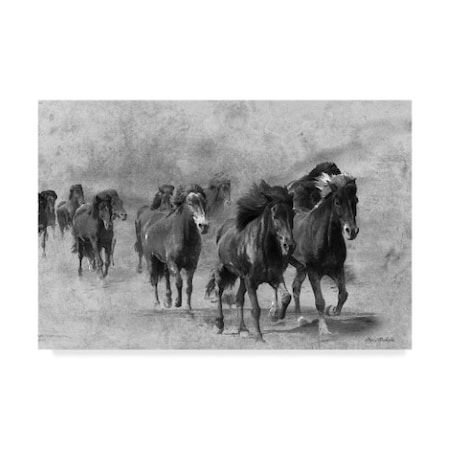 Ata Alishahi 'Wild Horses 2' Canvas Art,22x32